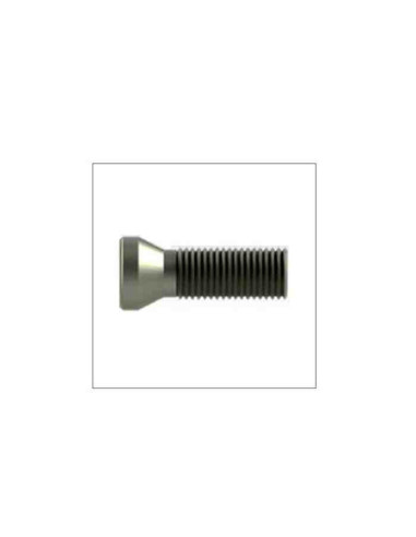 TORX M4x12 Varžtas frezavimo plokštelei prispausti, TORX M4