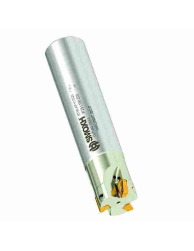 20mm, ST90-AP10-D20-W20-L100-Z03-H, freza su plokštelėmis