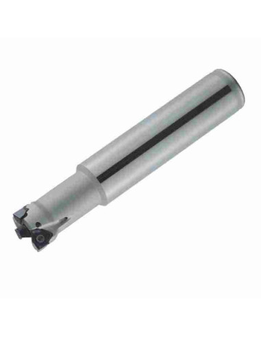 20mm, freza su plokštelėmis, RM6PS, Korloy