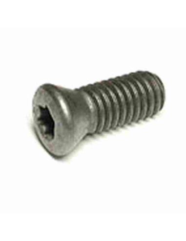 TORX M3.5X10 Varžtas, frezavimo plokštelei