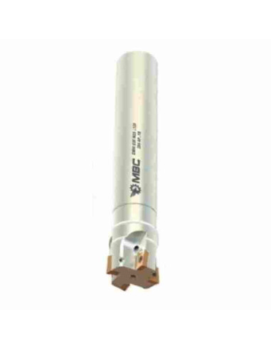 20mm,30x100, Z3, Freza su plokštelėmis, EM90 D20 W20 L100 AP..10-IC, MBC GRUP