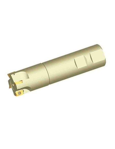 20mm, Z-2, Freza su plokštelėmis APKT11T3, ZCC-CT, EMP01