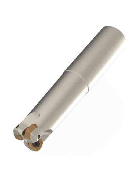 25mm, Z-4, Freza su plokštelėmis, CARBIDEN, XPLT 0703, C-SSM-HFC07-25.R.04-A-50-200
