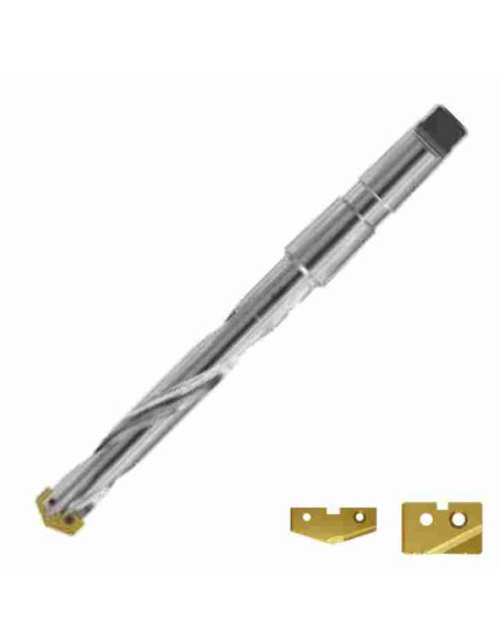 9.5 ~ 11.0mm, YG-1, grąžtas su keičiama plokštele, MT2