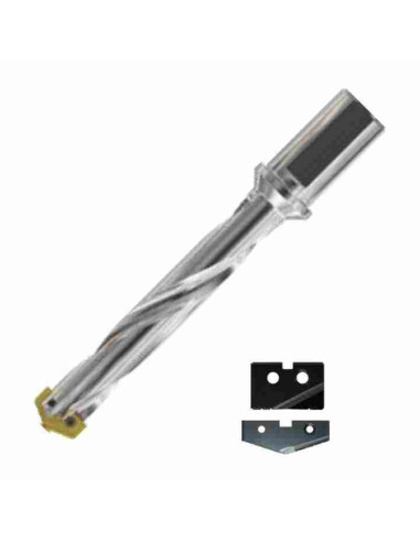 15.5 ~ 17.5mm, YG-1, grąžtas su keičiama plokštele, W - 20mm, Z05SDHF020M